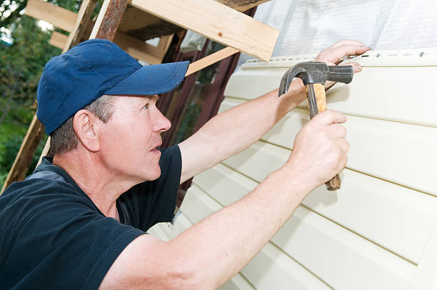 Best Historical Building Siding Restoration  in Washington Park, IL
