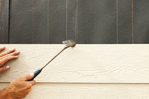 Best Custom Trim and Detailing for Siding  in Washington Park, IL